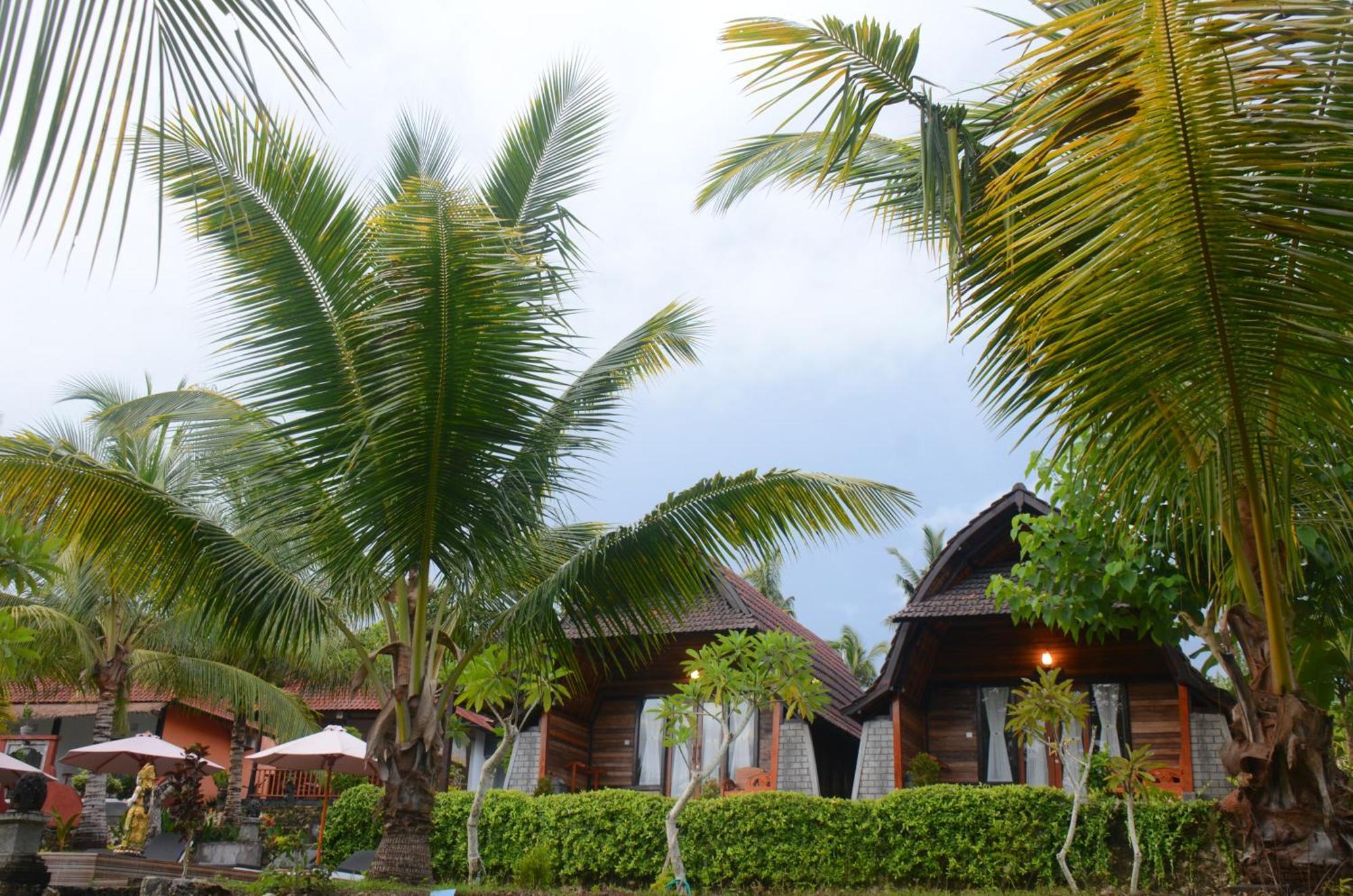 Mamaras Guest House Sakti Extérieur photo